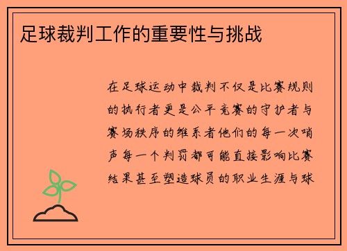足球裁判工作的重要性与挑战